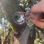 Este otoño Parque Cordillera te invita a sus guiados de hongos