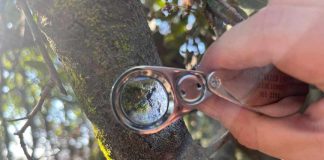 Este otoño Parque Cordillera te invita a sus guiados de hongos