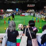 Expo Mascotas & Animales cumple 14 años y vuelve como el gran panorama familiar del otoño