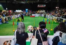 Expo Mascotas & Animales cumple 14 años y vuelve como el gran panorama familiar del otoño