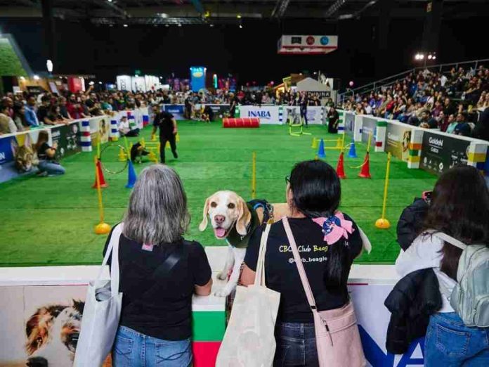 Expo Mascotas & Animales cumple 14 años y vuelve como el gran panorama familiar del otoño