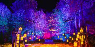 Harry Potter: La Experiencia del Bosque Prohibido debuta en Chile este otoño en el Parque Quinta Normal Harry Potter: La Experiencia del Bosque Prohibido debuta en Chile este otoño en el Parque Quinta Normal