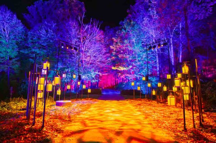 Harry Potter: La Experiencia del Bosque Prohibido debuta en Chile este otoño en el Parque Quinta Normal