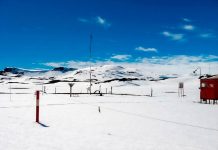 Instagram, Facebook y TikTok son las aplicaciones más usadas en la Antártica