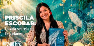 Jaime Hales encabeza el Mes del Libro en Apumanque con actividades para toda la familia