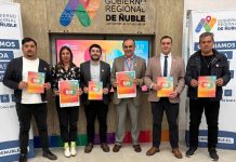 Ñuble será sede de encuentro internacional que fortalecerá el ecosistema musical y creativo regional