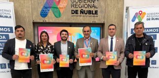 Ñuble será sede de encuentro internacional que fortalecerá el ecosistema musical y creativo regional