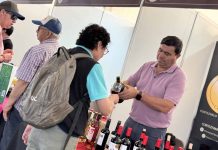 Viñatero de Portezuelo representará al campo de Ñuble en el Festival Ñam Santiago 2026.