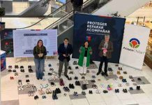 Con una intervención en el Mall Arauco Chillán buscan visibilizar la urgencia de contar con más Familias de Acogida en Ñuble 