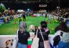 Expo Mascotas & Animales potenciará negocios del sector en Chile en medio de fuerte auge