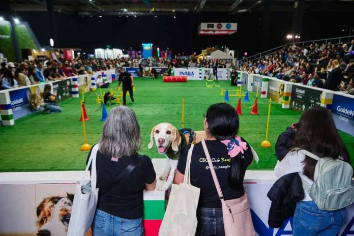Expo Mascotas & Animales potenciará negocios del sector en Chile en medio de fuerte auge