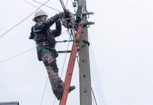 Gtd logró mitigar más de 323 toneladas de CO2 mediante la gestión de activos tecnológicos en desuso en 2025