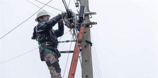 Gtd logró mitigar más de 323 toneladas de CO2 mediante la gestión de activos tecnológicos en desuso en 2025