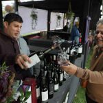 La 4ta Vendimia del Valle del Maipo calienta motores: ya está disponible la preventa de copas y entradas liberadas