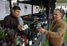 La 4ta Vendimia del Valle del Maipo calienta motores: ya está disponible la preventa de copas y entradas liberadas
