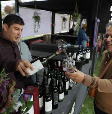 La 4ta Vendimia del Valle del Maipo calienta motores: ya está disponible la preventa de copas y entradas liberadas