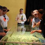 Museo del agua Bullileo abre sus puertas en el Día de los Patrimonios 
