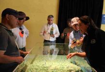 Museo del agua Bullileo abre sus puertas en el Día de los Patrimonios 