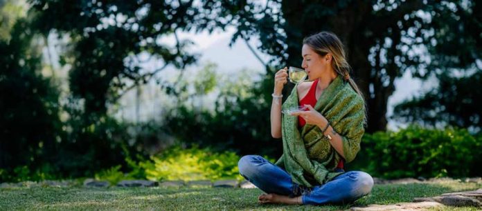 Regala una pausa: tés de especialidad para sorprender a mamá
