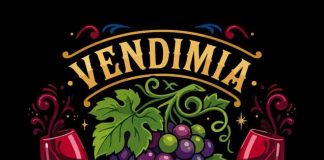 ¡VENDIMIA LASTARRIA LLEGA POR PRIMERA VEZ AL GAM!
