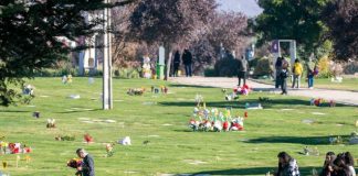 Día del Padre Grupo Nuestros Parques invita a las familias a honrar su memoria con un taller gratuito de duelo