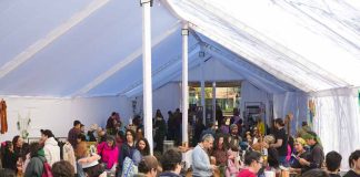 Festival Fungi congregó a más de mil 500 personas en la UTalca