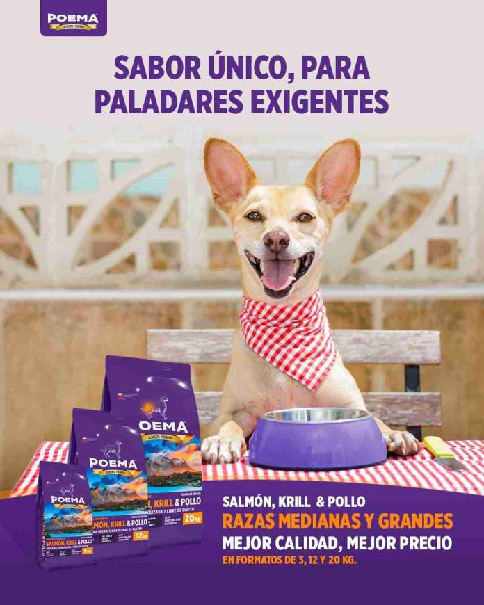 Nueva fórmula chilena para perros incorpora uno de los antioxidantes más potentes del mundo