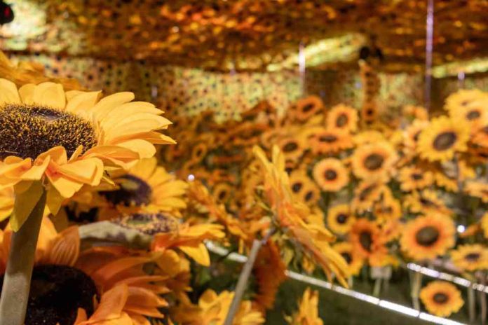 Van Gogh en Vivo: Últimos días para vivir la experiencia inmersiva que ha revolucionado Santiago Van Gogh en Vivo: Últimos días para vivir la experiencia inmersiva que ha revolucionado Santiago