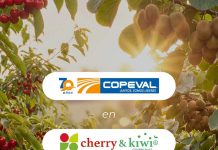 Copeval fortalece su vínculo con la fruticultura y participará en Cherry & Kiwi Conference 2026