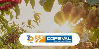 Copeval fortalece su vínculo con la fruticultura y participará en Cherry & Kiwi Conference 2026