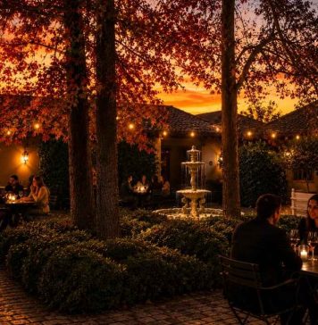 Día del vino chileno tour al atardecer en  viña Casa Silva
