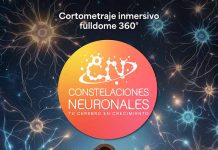 Estreno en Planetario USACH: “Constelaciones Neuronales: Tu Cerebro en Crecimiento”, cortometraje 360° Estreno en Planetario USACH: “Constelaciones Neuronales: Tu Cerebro en Crecimiento”, cortometraje 360°, "Constelaciones Neuronales": una experiencia 360° para descubrir el cerebro en familia en Planetario USACH