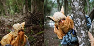Kori y la semilla dorada: obra interactiva para toda la familia se estrena en el Maule