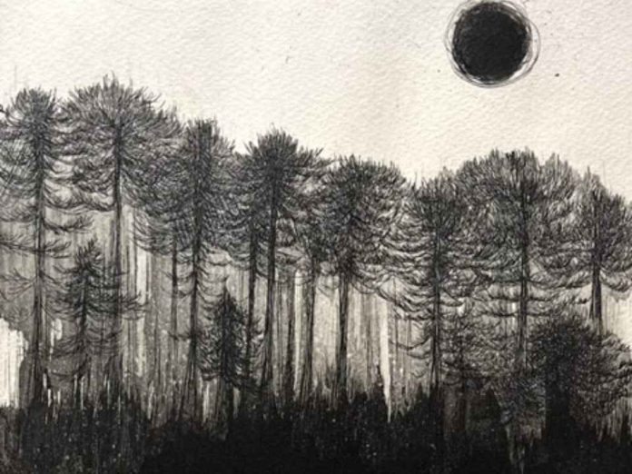 La UCT inaugurará Estación Umbría grabado y serigrafía sobre los bosques nativos del sur de Chile La UCT inaugurará Estación Umbría: grabado y serigrafía sobre los bosques nativos del sur de Chile