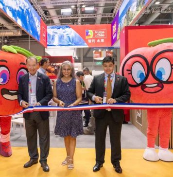 Hong Kong: Pabellón de Frutas de Chile despierta alto interés en Asia Fruit Logística 2026