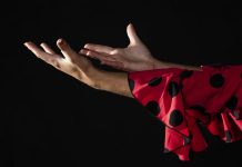 Ópera «Carmen» se presenta con gran despliegue musical en Talca Ópera "Carmen" se presenta con gran despliegue musical en Talca