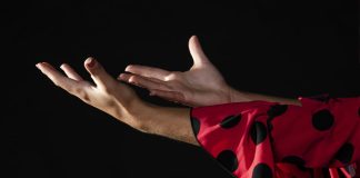 Ópera "Carmen" se presenta con gran despliegue musical en Talca