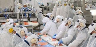 Subsidio al empleo, Previgestion te explica todo sobre este beneficio que entrega el Gobierno