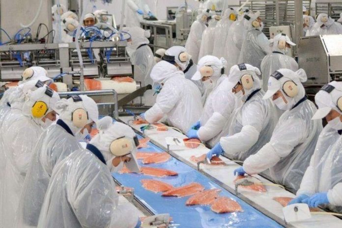 Subsidio al empleo, Previgestion te explica todo sobre este beneficio que entrega el Gobierno