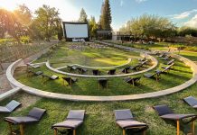 “Vino el Cine” llega a Colchagua para convertir sus viñedos en salas de cine al aire libre rutadelvino.cl/es/vino-el-cine.