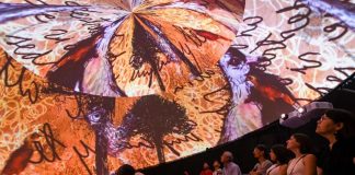 Catalina Rojas deslumbra en la undécima Art Week 2026 con una nueva dimensión del arte_ esculturas lumínicas y muralismo de luz inmersivo