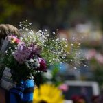 Cementerio Metropolitano conmemorará el Día de Todos los Santos con recorridos culturales y homenajes a artistas chilenos