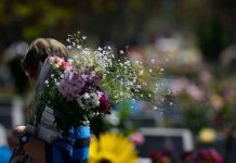 Cementerio Metropolitano conmemorará el Día de Todos los Santos con recorridos culturales y homenajes a artistas chilenos