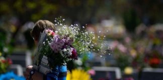 Cementerio Metropolitano conmemorará el Día de Todos los Santos con recorridos culturales y homenajes a artistas chilenos