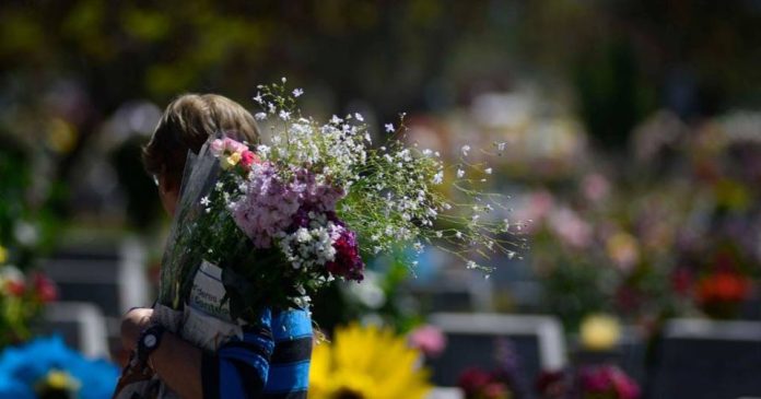 Cementerio Metropolitano conmemorará el Día de Todos los Santos con recorridos culturales y homenajes a artistas chilenos