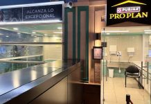 En Kidzania_ Aprender el cuidado de las mascotas, ¡jugando!