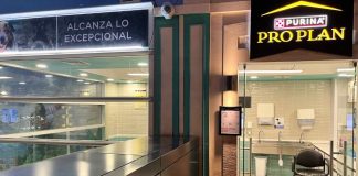 En Kidzania_ Aprender el cuidado de las mascotas, ¡jugando!