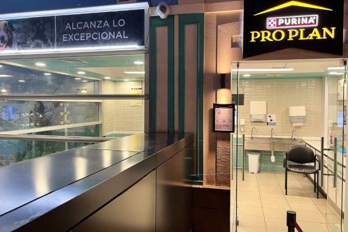 En Kidzania_ Aprender el cuidado de las mascotas, ¡jugando! En Kidzania_ Aprender el cuidado de las mascotas, ¡jugando!