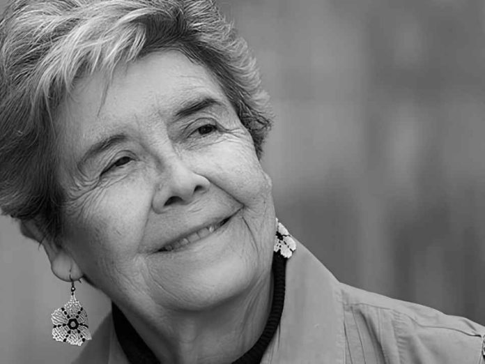 FECID cumple 20 años como vitrina del cortometraje y formador de nuevas audiencias