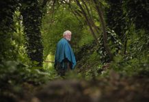 Humedal: teatro, música y circo se unen en un estreno que invita a descubrir el patrimonio natural del Maule